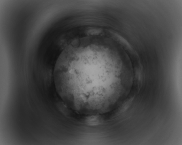 X0000095670761200801081208
