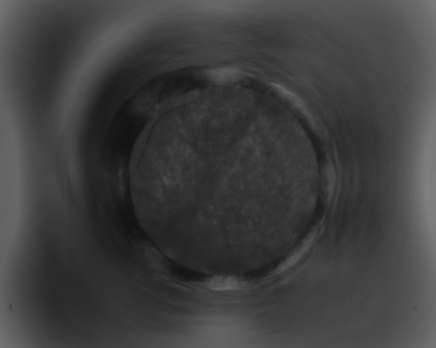 X0000095670762200801081208