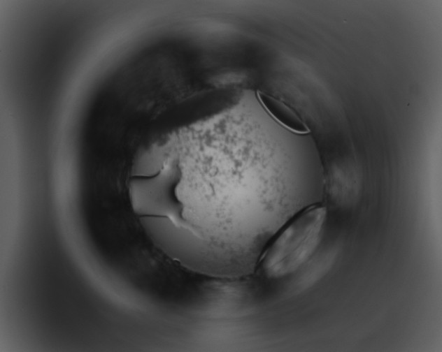 X0000095670763200801081208