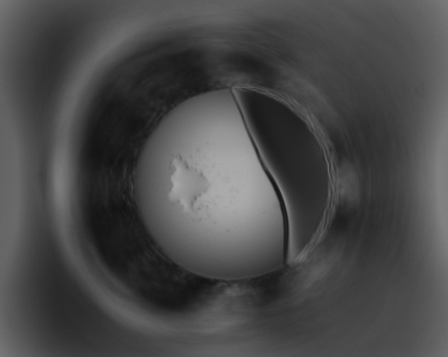 X0000095670764200801081208