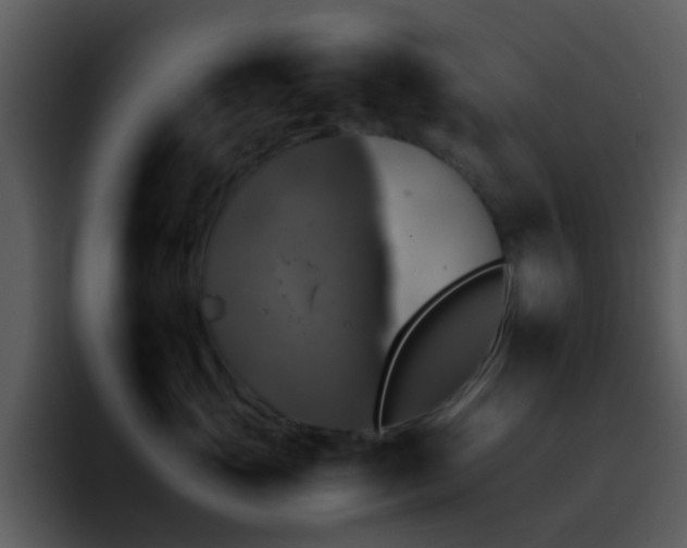 X0000095670765200801081208