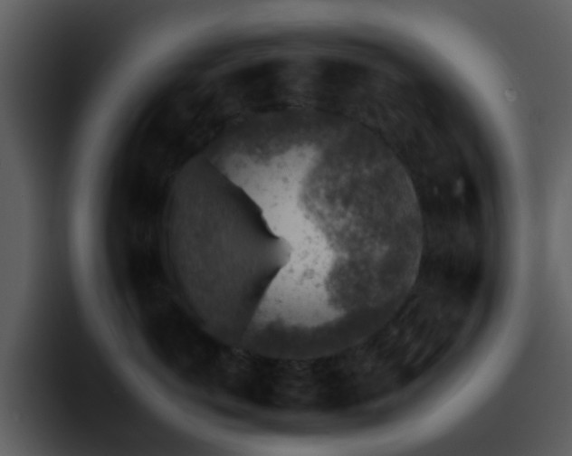 X0000095670766200801081208