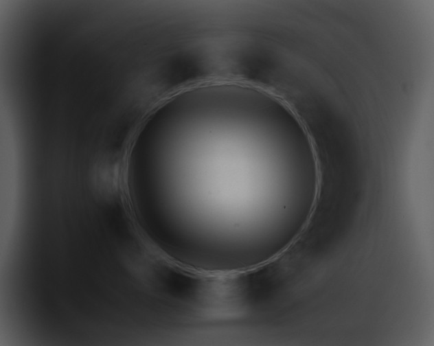 X0000095670768200801081208