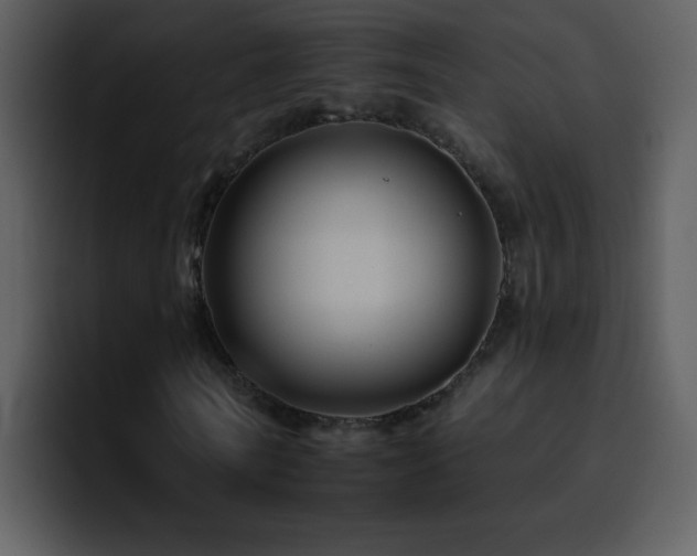 X0000095670770200801081208