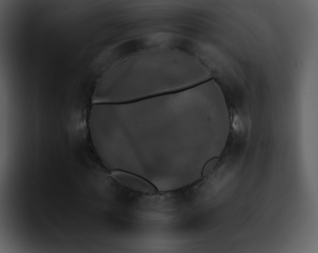 X0000095670771200801081208