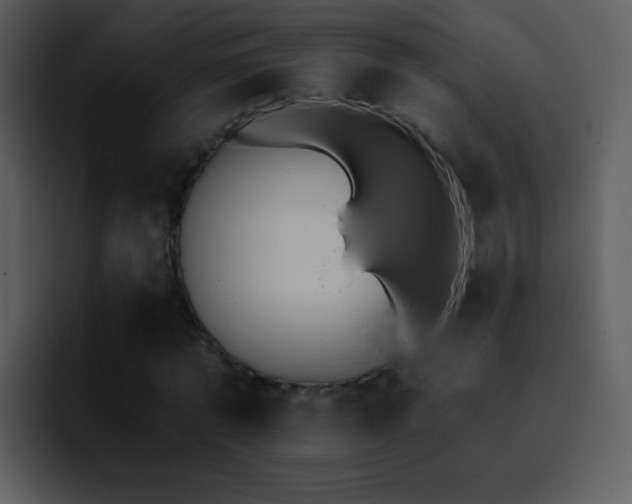 X0000095670773200801081208