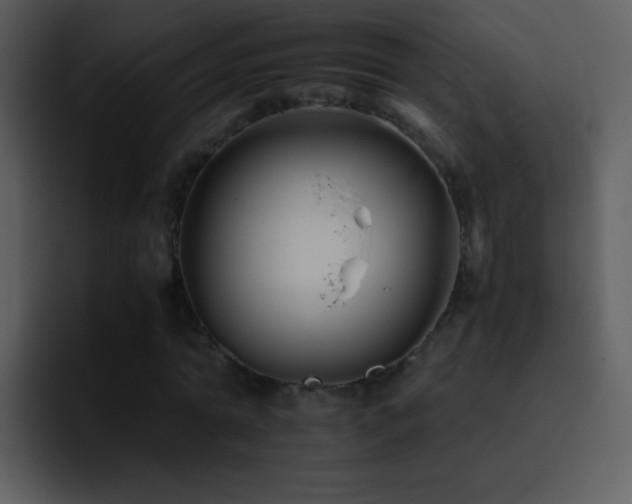 X0000095670774200801081208