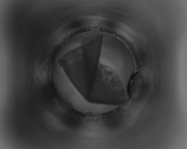 X0000095670775200801081208
