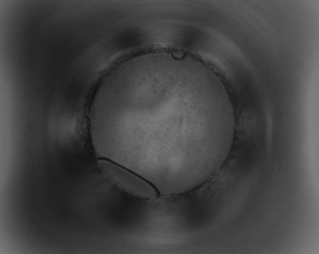 X0000095670776200801081208