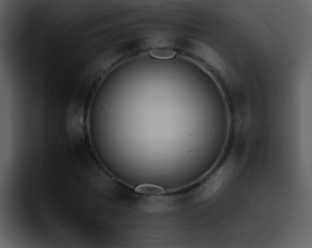 X0000095670777200801081208