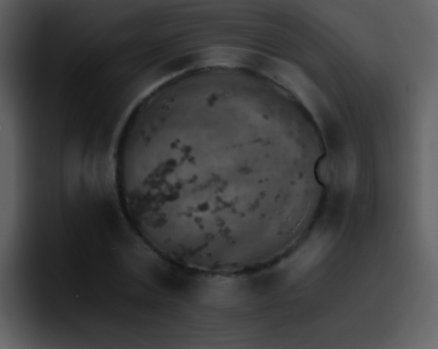 X0000095670779200801081208