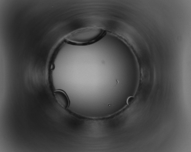 X0000095670780200801081208