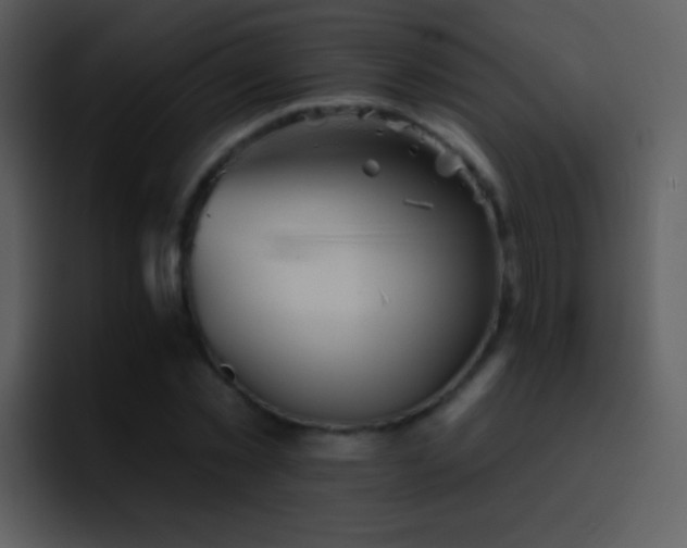 X0000095670781200801081208