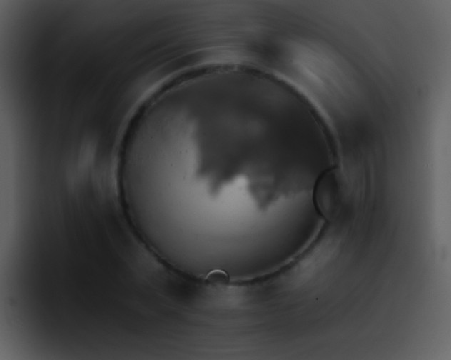 X0000095670783200801081208