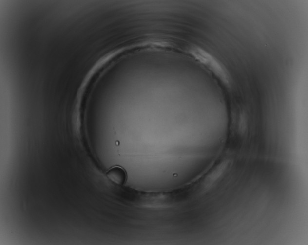 X0000095670784200801081208