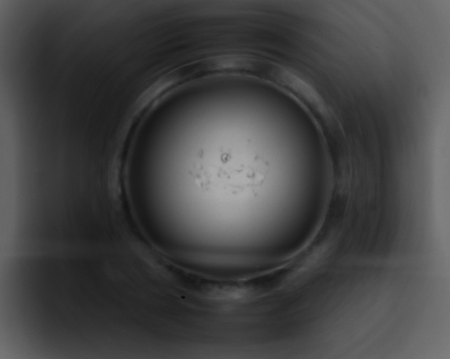 X0000095670786200801081207