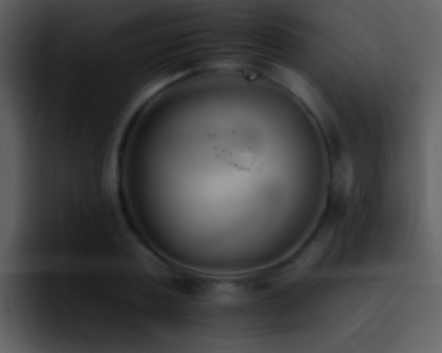 X0000095670787200801081207