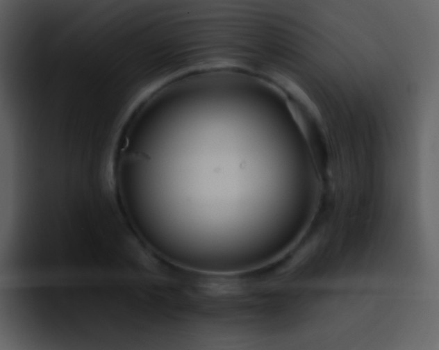 X0000095670789200801081207