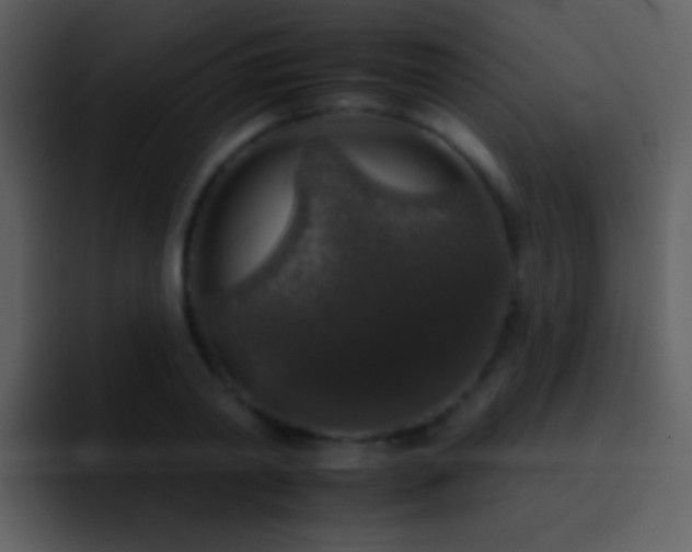 X0000095670790200801081207