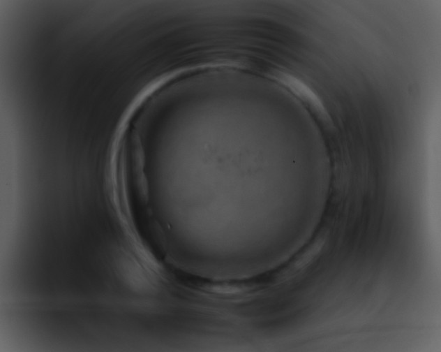 X0000095670792200801081207