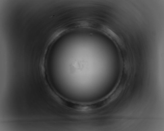 X0000095670794200801081207