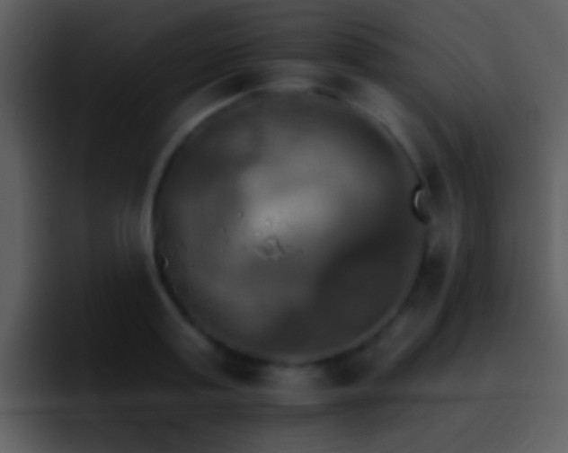 X0000095670795200801081207