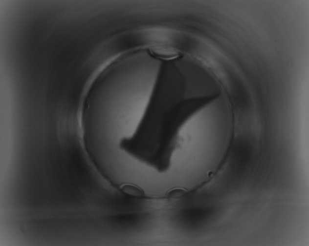 X0000095670796200801081207