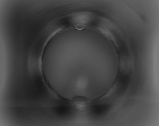 X0000095670798200801081207