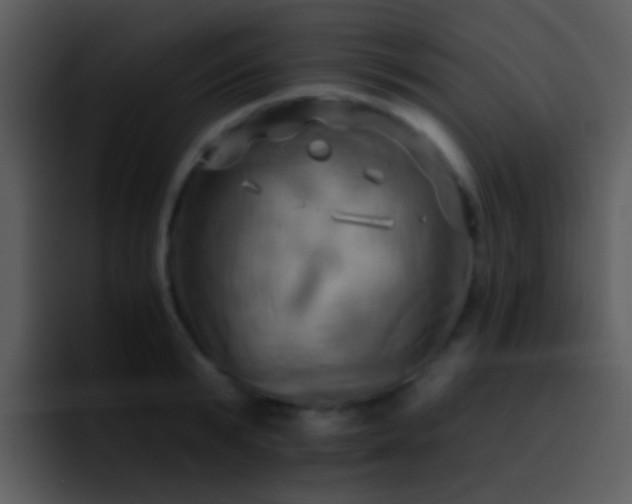 X0000095670799200801081207