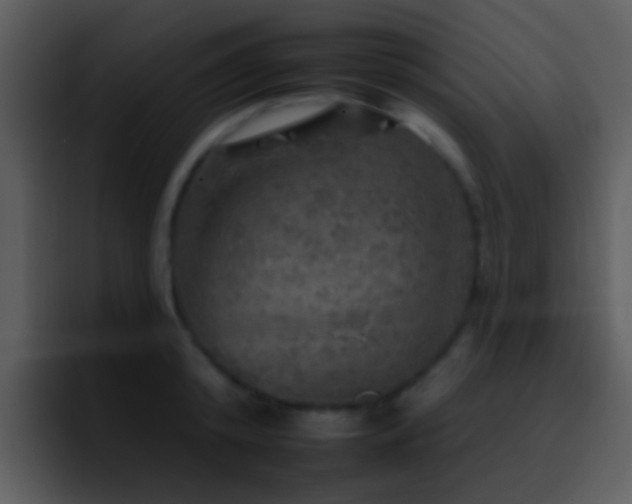X0000095670800200801081207