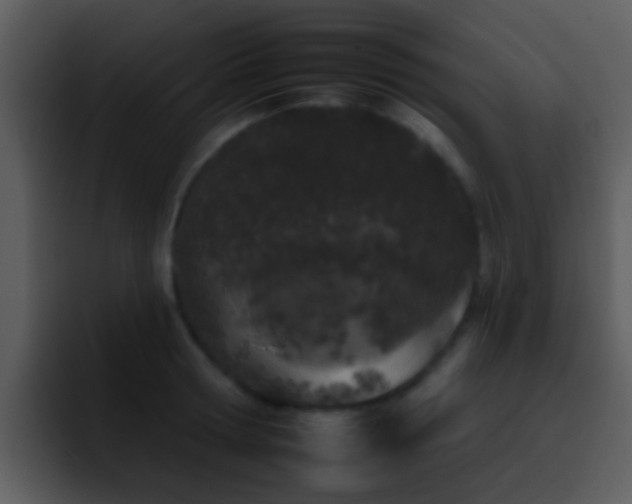 X0000095670802200801081207