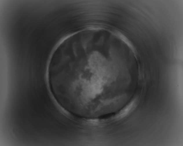 X0000095670803200801081207