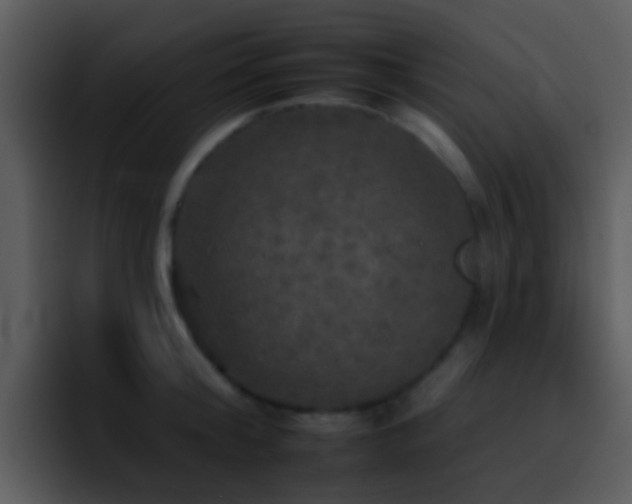 X0000095670804200801081207