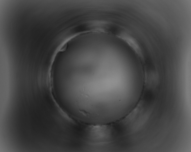 X0000095670808200801081207