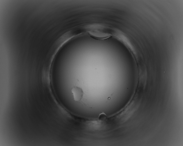 X0000095670810200801081207