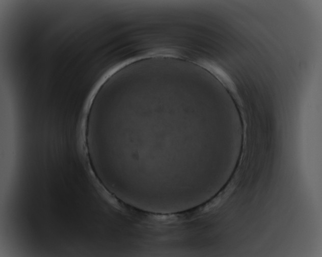 X0000095670816200801081207