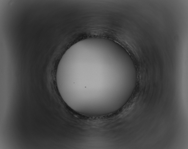 X0000095670817200801081206