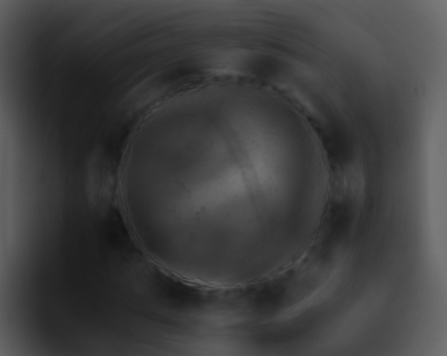 X0000095670821200801081207