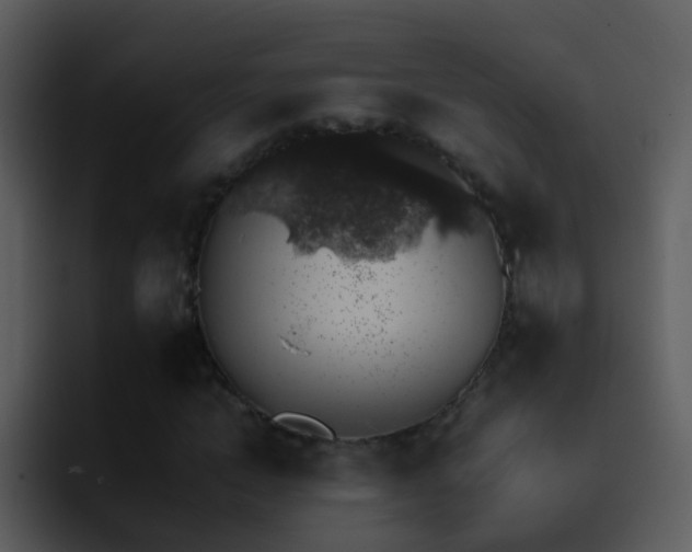 X0000095670822200801081207