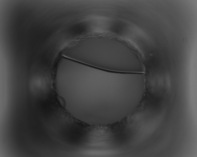 X0000095670823200801081207