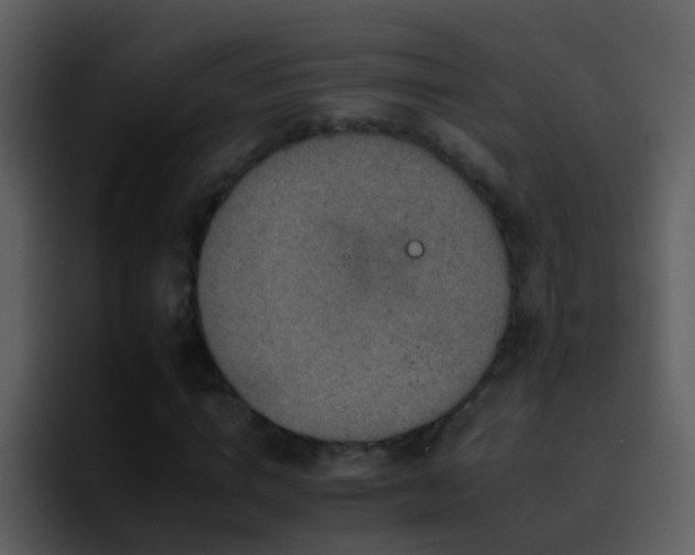 X0000095670824200801081207