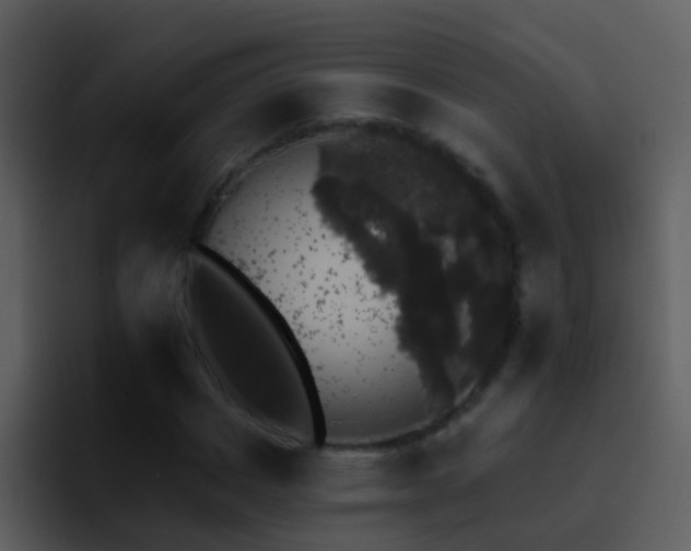 X0000095670825200801081207