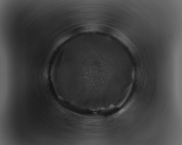 X0000095670826200801081207
