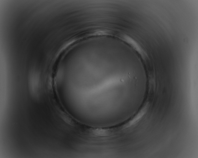 X0000095670827200801081207