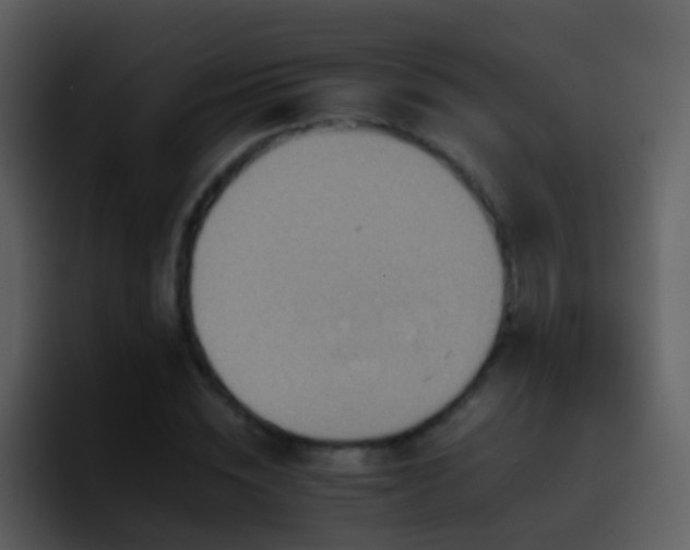 X0000095670828200801081207