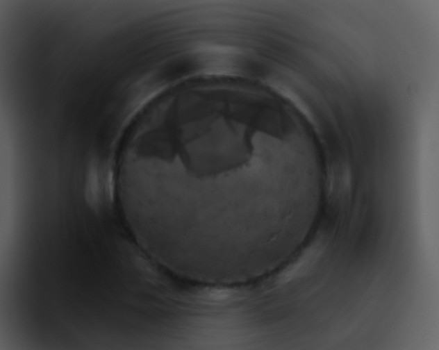 X0000095670829200801081207