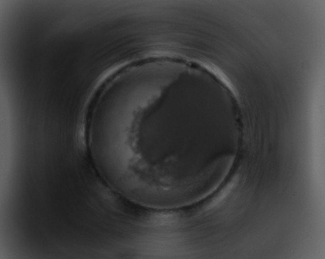 X0000095670830200801081207