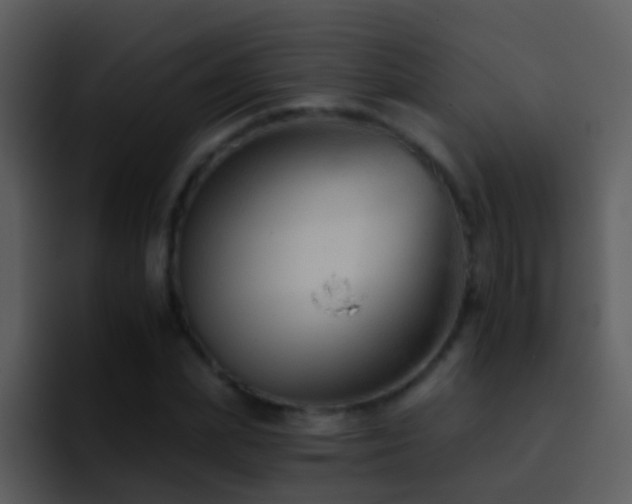 X0000095670831200801081207