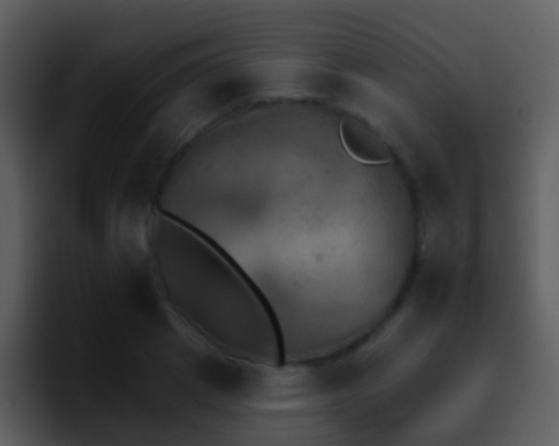 X0000095670833200801081207
