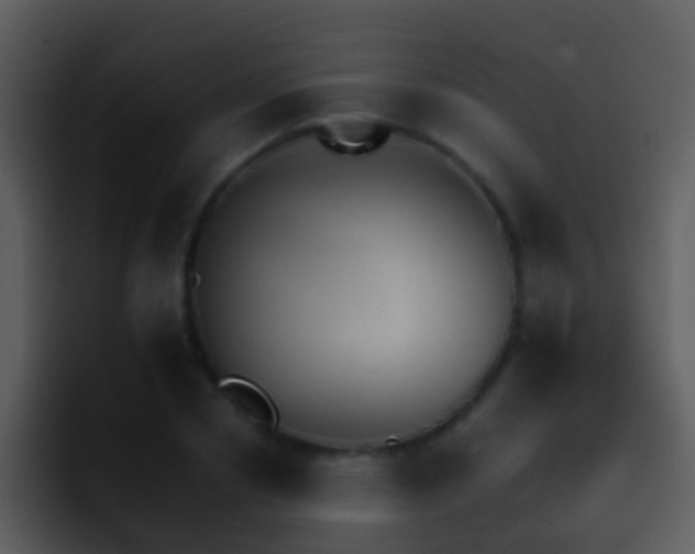 X0000095670834200801081207